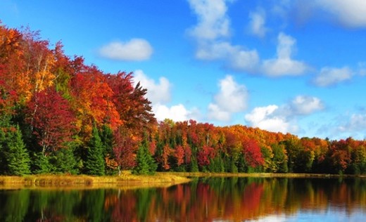 Northern Highland American Legion State Forest